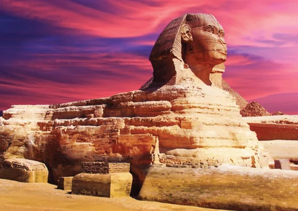 Tour Cairo & Alexandria by bus 